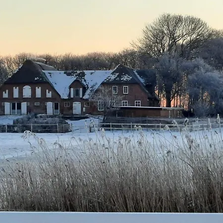 Apartment Thorge Og Hof Döttgebüll