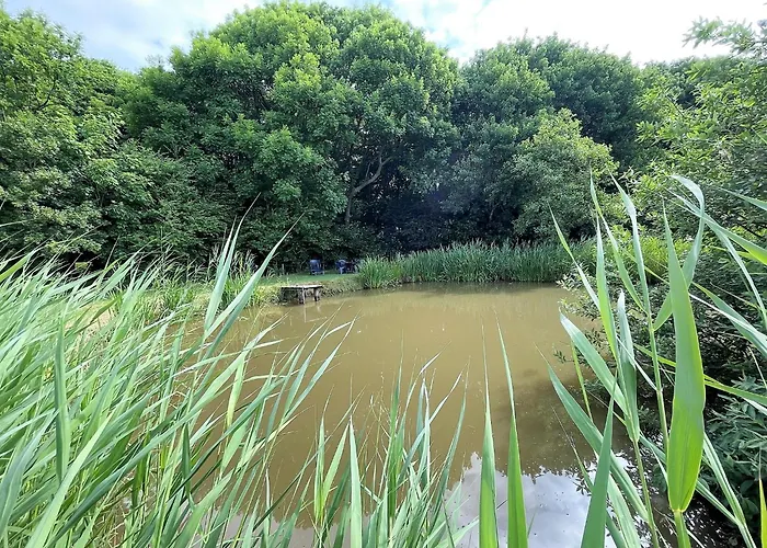 Thorge Og Hof Doettgebuell